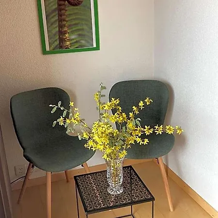Haus Rhodania * Leukerbad